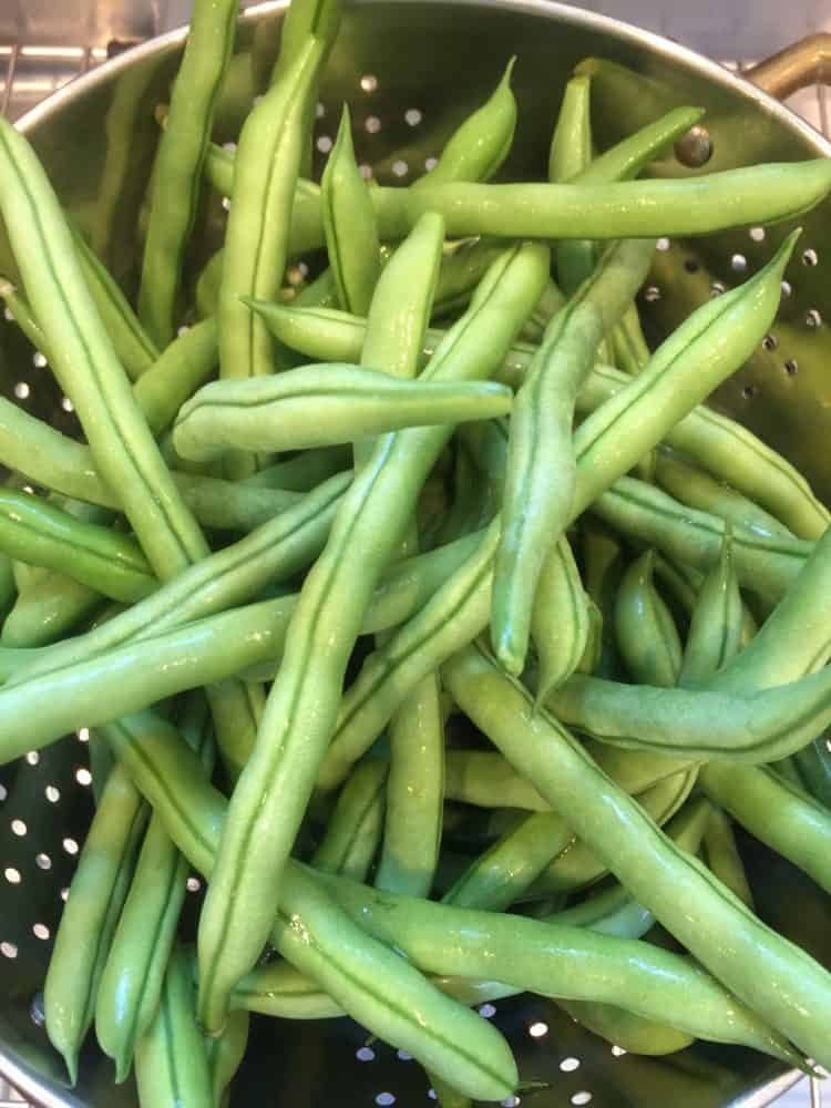 Freezing Green Beans The Garden Delicious